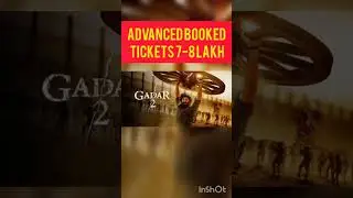 Gadar 2 box office collection #gadar2 #gadar2
