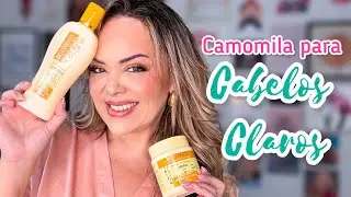 Camomila Clareia os Cabelos?