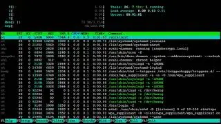 Sounds of Electromagnetic Interference from a Raspberry Pi