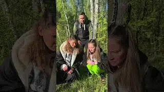 Надо собрать все грибы 😄