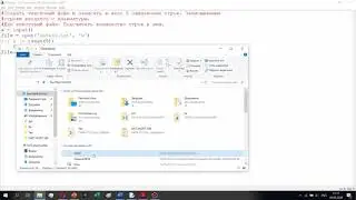 Простые задачи Python: Текстовые файлы.
