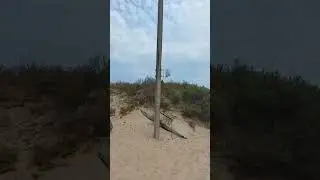 #антиреспект