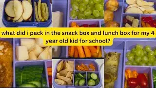 what did i pack in the snack box and lunch box for my 4 year old kid for school?