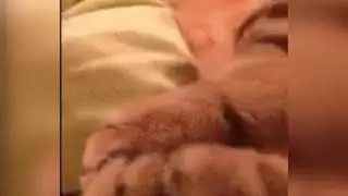 Когда проснулся в выходной и не знаешь, зачем?