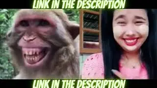 Funny dog prank & fake Lion and Fake Tiger Prank To dog & Huge Box Prank to dog 2022