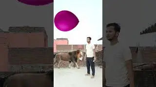 cartoon cartoon// Animal name VFX video #shorts
