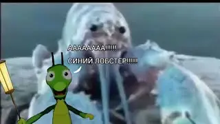 Синий лобстер напугал Кузю