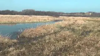 LenteVreugd Maart 2012 HD 1080p