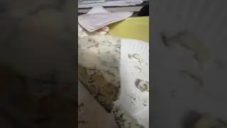 9 мая 2019 г.(2)
