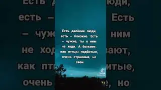 свои люди