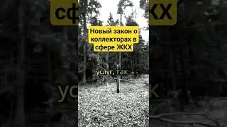 Коллекторы могут отдохнуть. Вступает новый закон. #жкх #недвижимость #юрист #россия