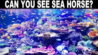 FIND THE HIDDEN ANIMALS GAME 2 | NO ONE CAN FIND ALL THE HIDDEN ANIMALS!! | 100% FAIL | BRAIN TEST