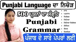 Complete Punjabi Language Grammar in One Video || All Important 500 MCQs of Punjabi Vyakaran
