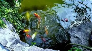 20171008 114936