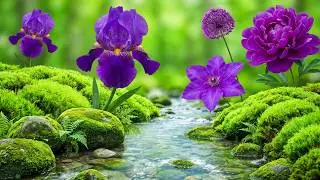 (NO ADS) RECOVERY OF THE NERVOUS SYSTEM 🌿 – Gentle Music to Calm Mind, Body & Soul