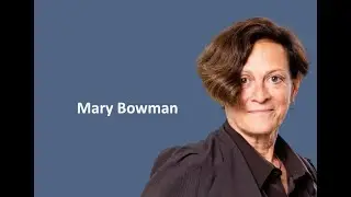 Mary Bowman: The Transformation of Paris. OnE, the new landscape scheme for Paris.