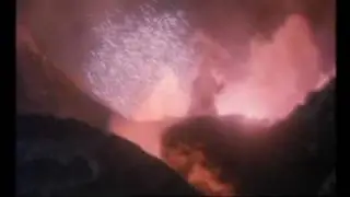 Godzilla Tribute