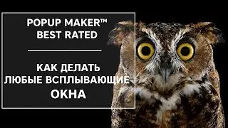 Popup Maker settings. How to make a pop-up window