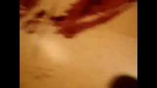 MOV03097.MPG
