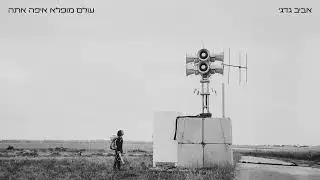 אביב גדג' - הכוכב השקט