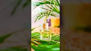 AROMATIZADORES DE AMBIENTE: MITO X VERDADE? - PARTE 1 ✨