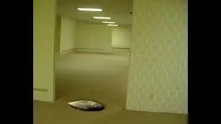 Fish sneezes and ends up in the backrooms