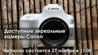 Доступные зеркальные камеры Canon