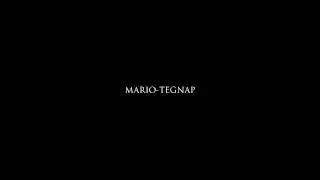 Mario-Tegnap (2013) DEMO