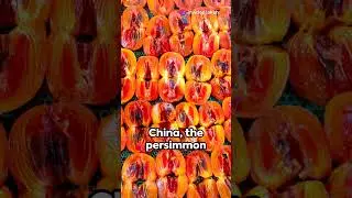 Amazing Persimmon Fruit Facts: Unveiling the Exotic Fruit |Origin, Taste, and Tips!| #fruit #facts