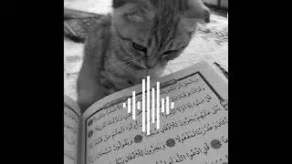 🎧нашид🎧 путь слёз🌼