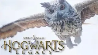 NEW Hogwarts Legacy Gameplay ( No Commentary)