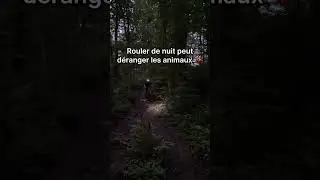VTT - Rouler de nuit, oui ou non ? 🚵 | Decathlon
