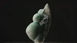 Visitez le musée de Minéralogie de l’École des Mines, véritable coffre à trésors au cœur de Paris