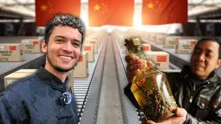 Jag åkte till Kina under tullkriget