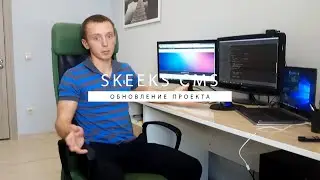 Обновление базового проекта SkeekS CMS.