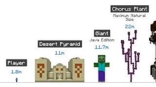Minecraft Size Comparison (2020)