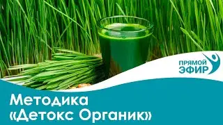 Прямой эфир "Методика: Детокс Органик"
