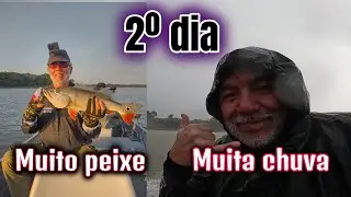2º dia no rio Juma   Amazônia
