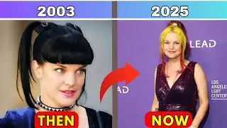 NCIS Cast Then and Now 2025—See How They’ve Changed!