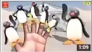 Pingu Finger Family 3D (Reuploaded)