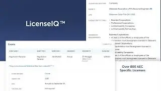 AE Professional Services