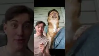 Photos You Have To Look At Twice! 