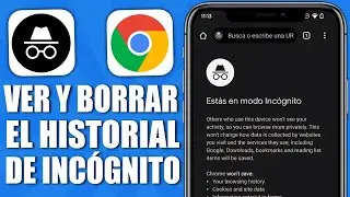 How to VIEW and DELETE the INCOGNITO MODE HISTORY on your CELL PHONE (2026)