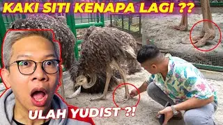 JANGAN COBA2 BAWA BURUNG UNTA GW YE YUDIST ARDHANA