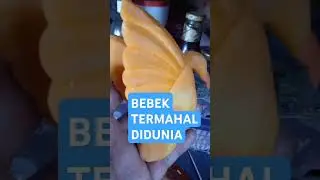 Bebek termahal dunia#bebekmakan