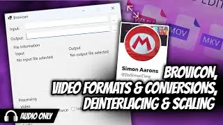 Discussing Video Conversion with Simon Aarons