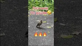Поддержал от души🤣👍#спорт#юмор#тренировка#sports