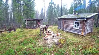 Таёжный быт у избы. Запенил нижний венец. Пристрелял оптику. Заготовил запас дров. 3 серия.