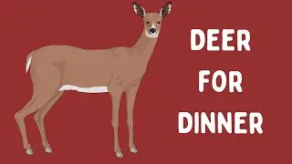 Deer for Dinner