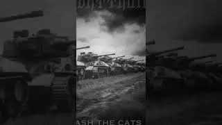 TIGER BATTALION - UNLEASH THE CATS Teaser #deathmetal #newrelease #metal